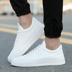 Sapatos selvagens coreanos