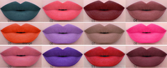 Charm matte velvet matte brillo de labios brillo de labios mate antiadherente mate lápiz labial líquido de larga duración se puede autorizar