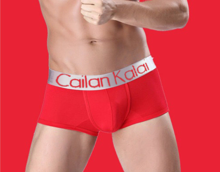 Cueca Boxer Masculina Modal Respirável