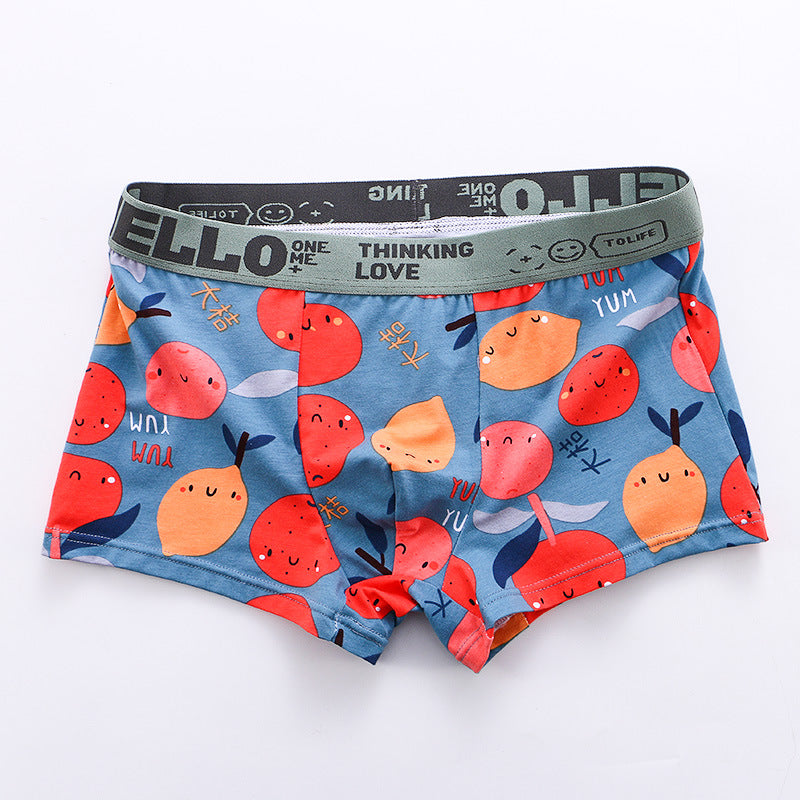 Boxer Estampado Cueca Masculina Moda Nacional Esportes