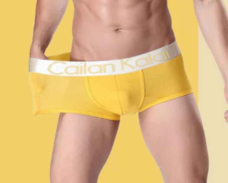 Cueca Boxer Masculina Modal Respirável