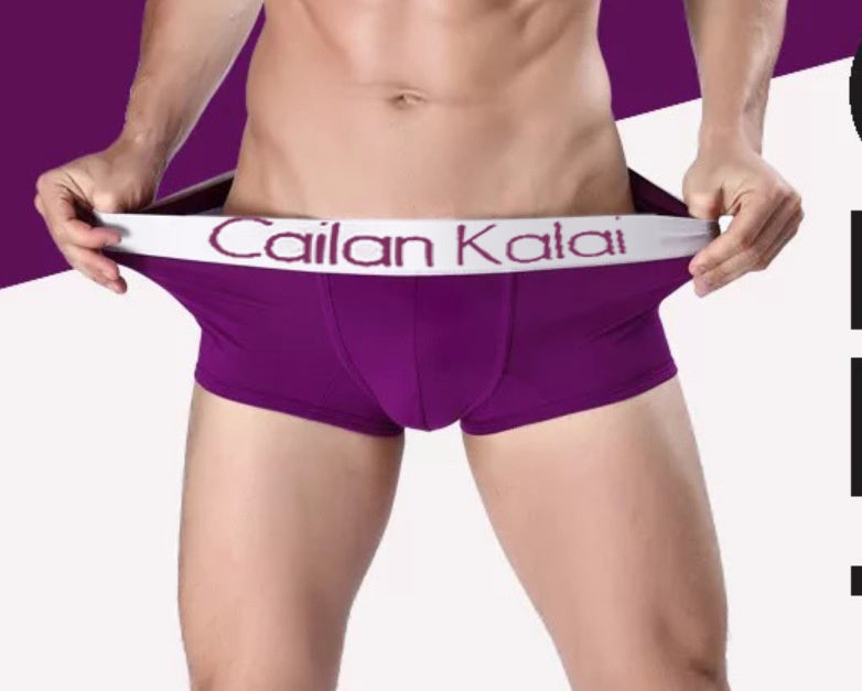 Cueca Boxer Masculina Modal Respirável